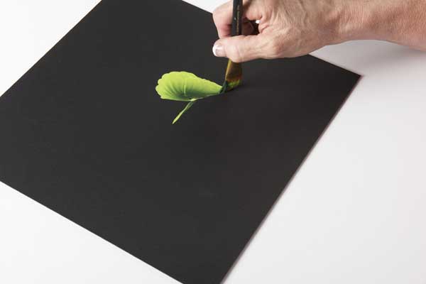 How to Paint a Wiggle Leaf