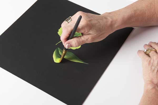 How to Paint a Slider Leaf