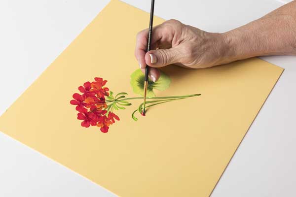 How to Paint Geranium Flower Petals