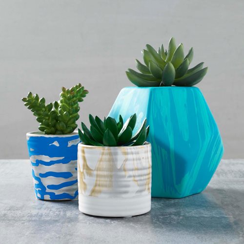Painted Succulent Containers
