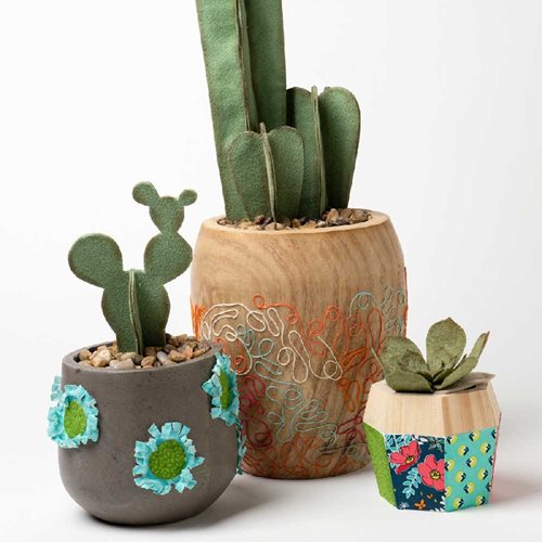 Cactus Planters with Mod Podge Ultra