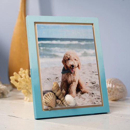 Pet Photo In Frame