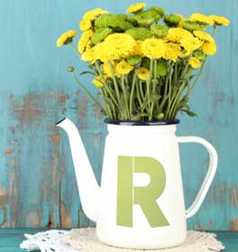 Bold Monogram Watering Can