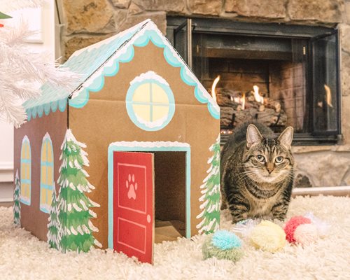 Holiday Christmas Cat House