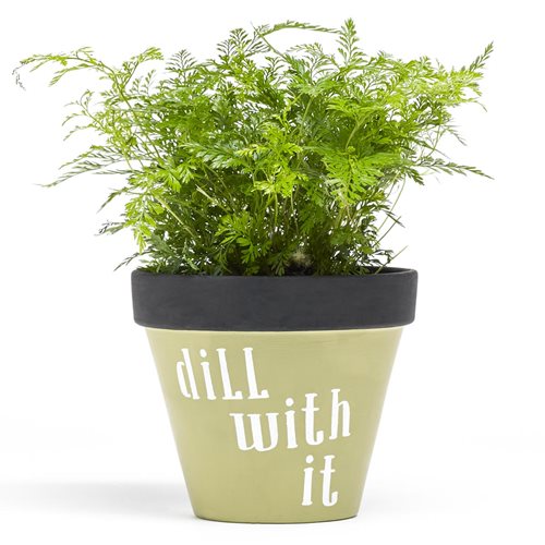 "Dill with It" Flower Pot