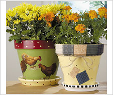 Rooster Flower Pots - Project | Plaid Online