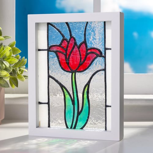 Tulip in Floating Frame