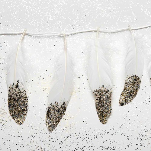 Glittered Feather Banner