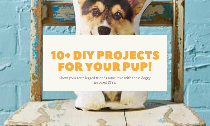 10+ DIY Doggy Inspired Projects 