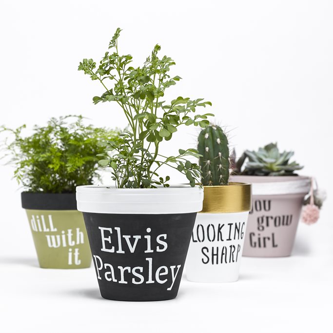 Try These Punny Pots to Jump-start Your Green Thumb