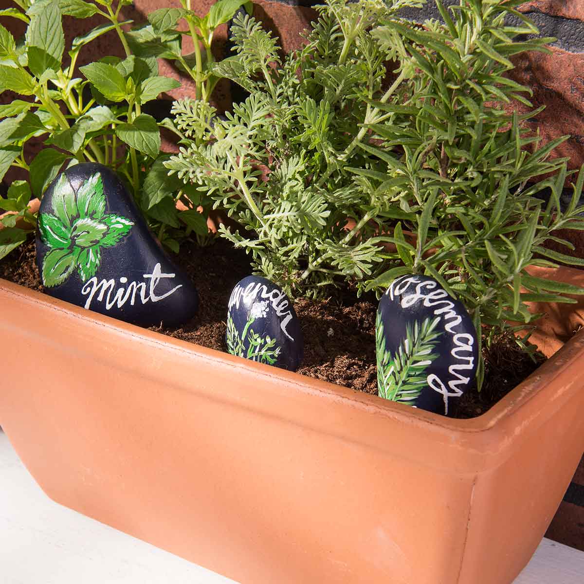 Painted Rock Herb Garden Markers