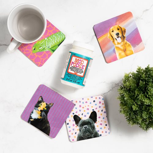 Personalized Pet Coasters