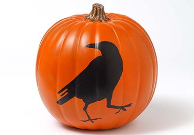 Crow Pumpkin