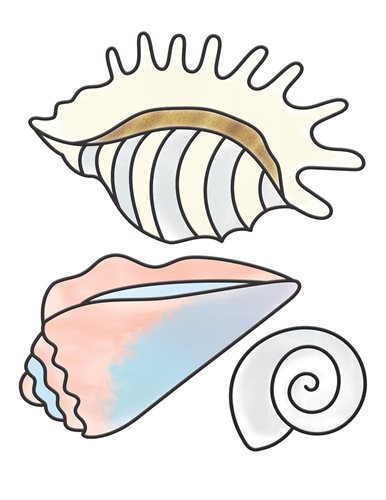 Sea Scene - Shells 3