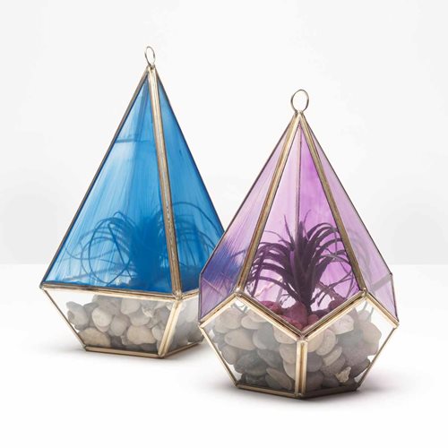 Stained Glass Terrariums 