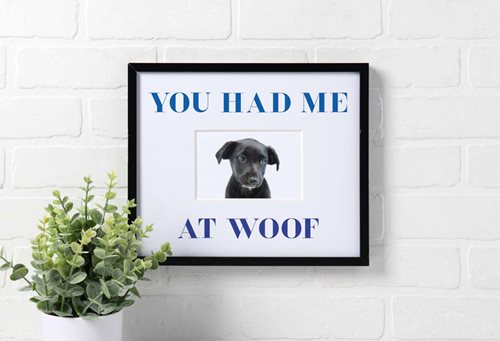 You Had Me At Woof Pet Frame