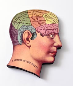 Unique Halloween Decor Idea - Phrenology Head