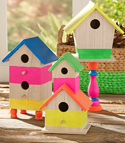 Neon Birdhouses