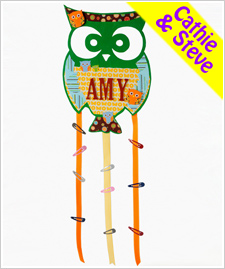 Owl Barrette Holder