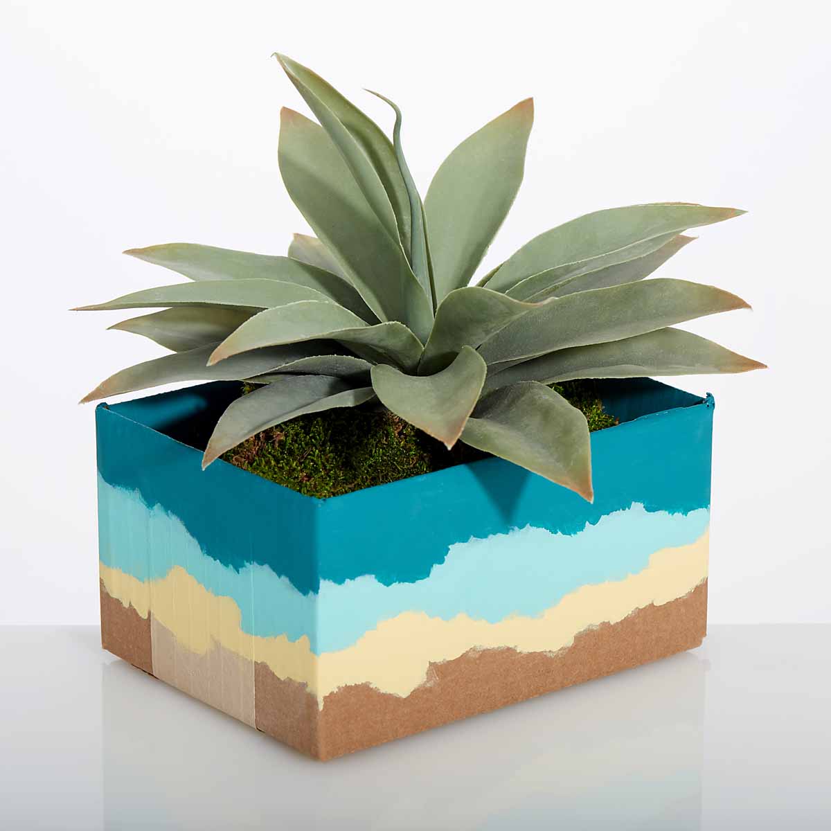 Cardboard Box Planters