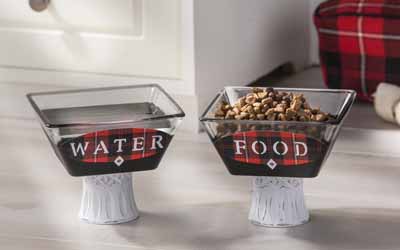 Fancy Pet Food and Water Bowls