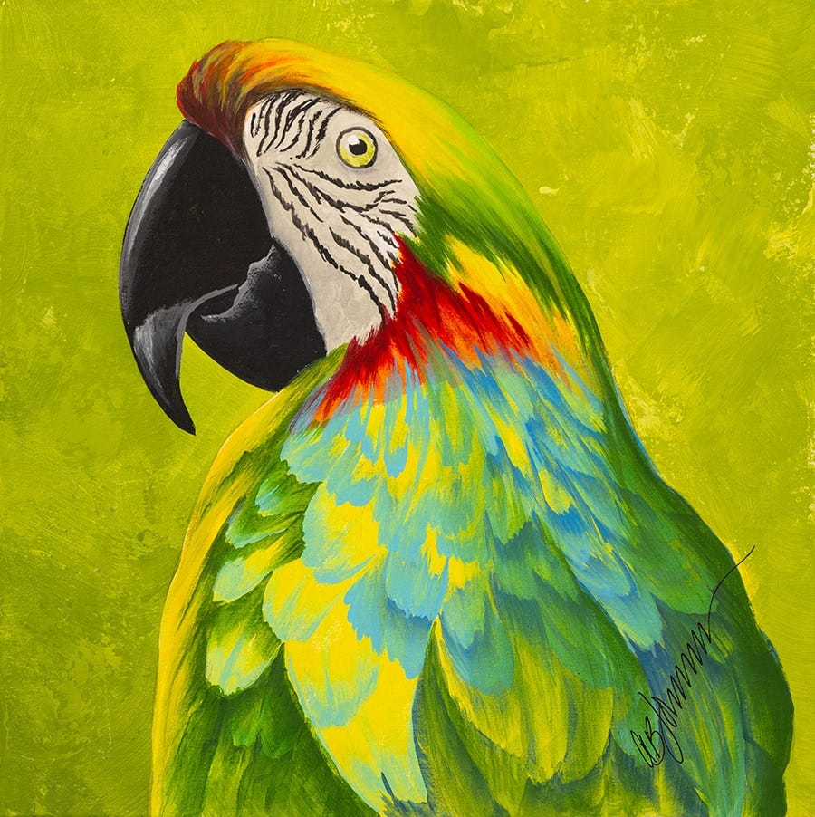 Parrot