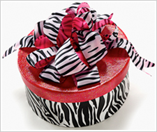 Zebra Hatbox