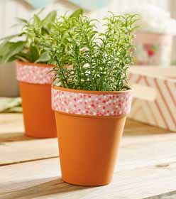 Flower Pots with Hard Coat Mod Podge