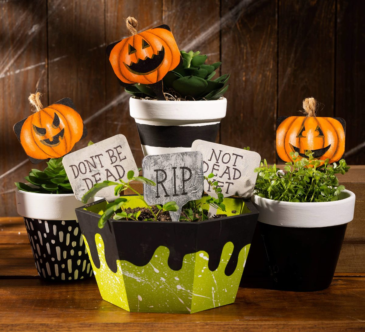 Apple Barrel Halloween Plant Pokes