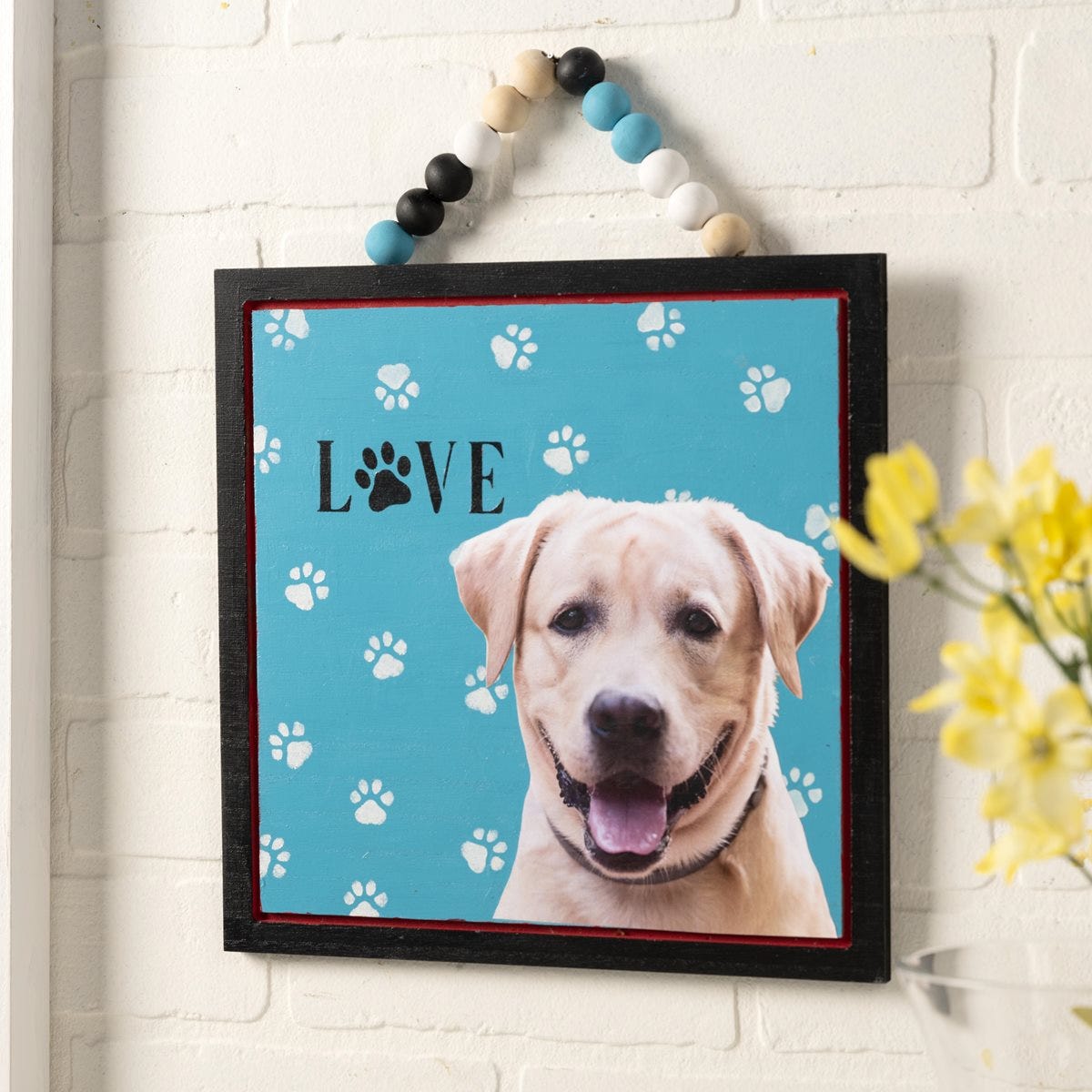 Pet Photo Wall Hanging Surface