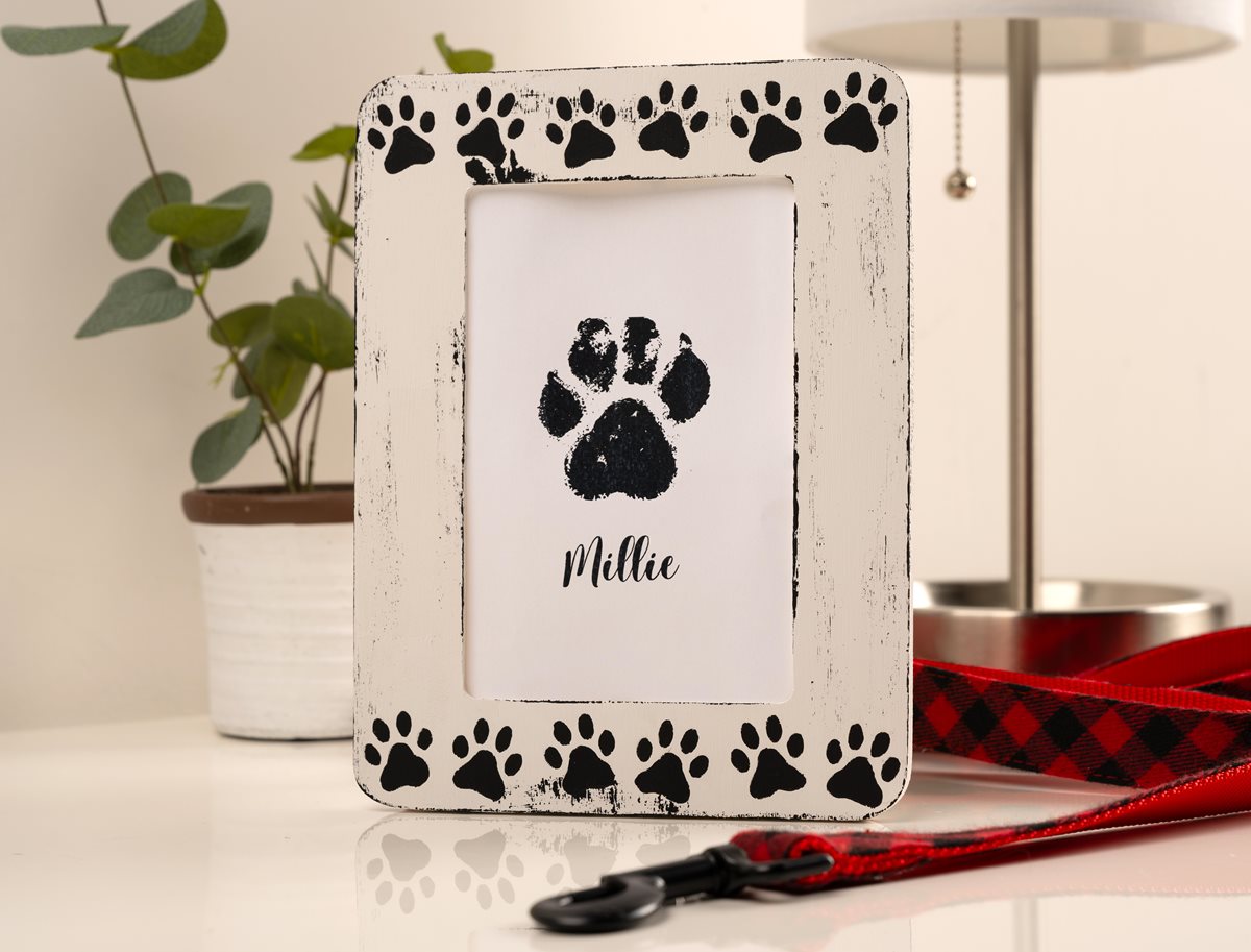 Black & White Paw Frame