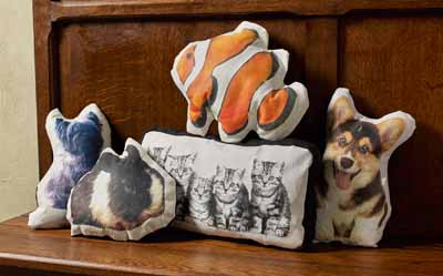 DIY Mod Podge Photo Transfer Pet Pillows