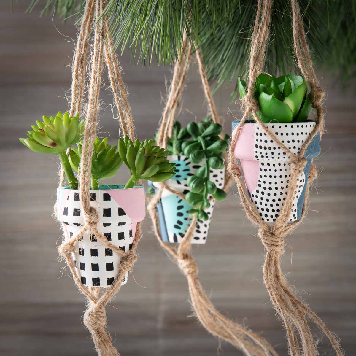 Holiday Succulent Ornaments