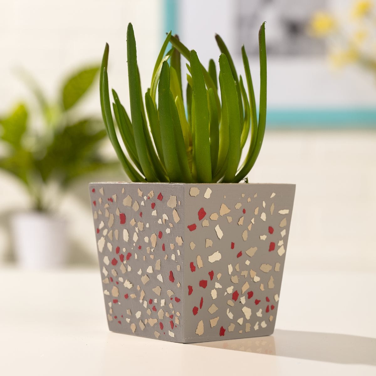 Grey Concrete Planter