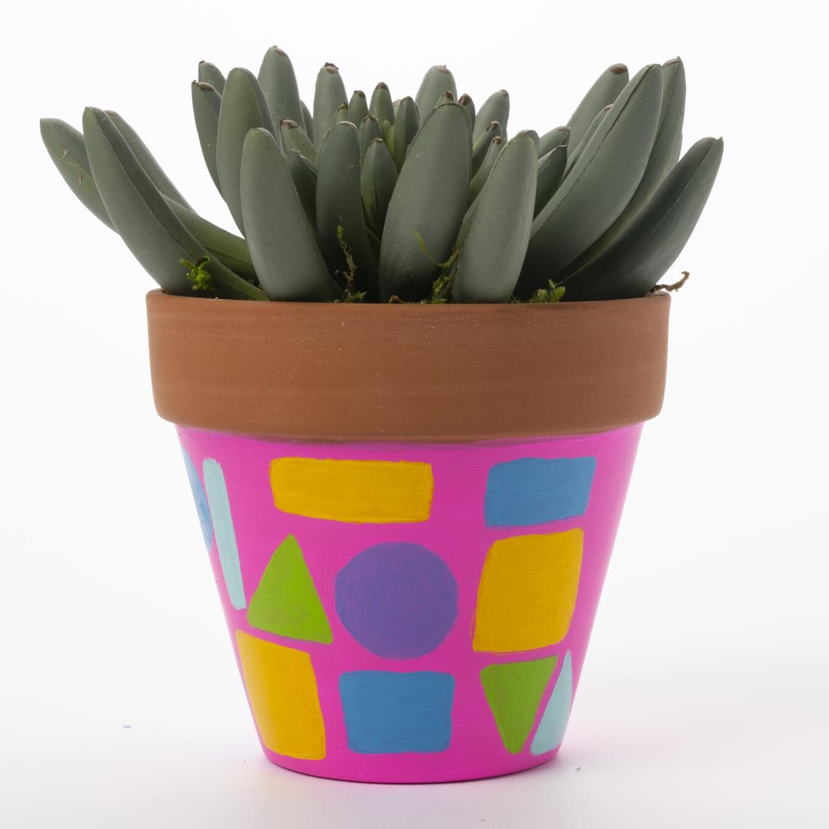 Geometric Pattern Pots