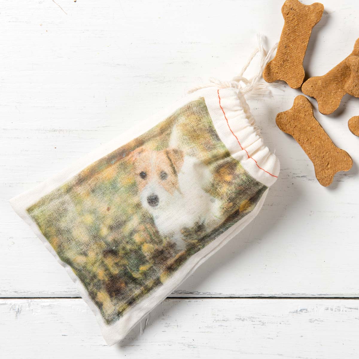 Dog Treat Bag