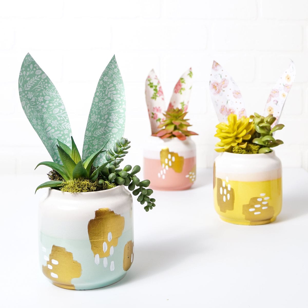 Modern Bunny Ear Pots