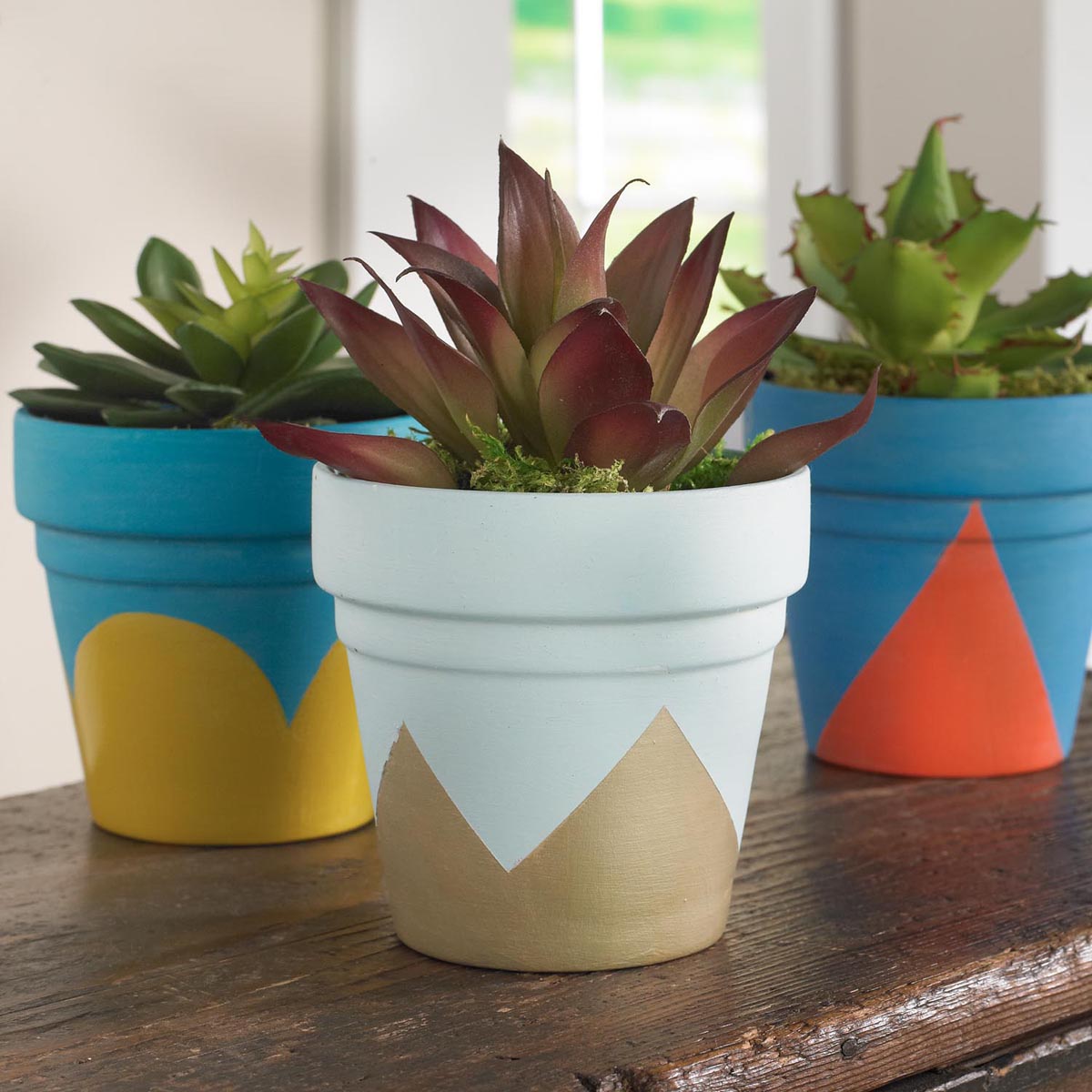 Modern Terra Cotta Planters