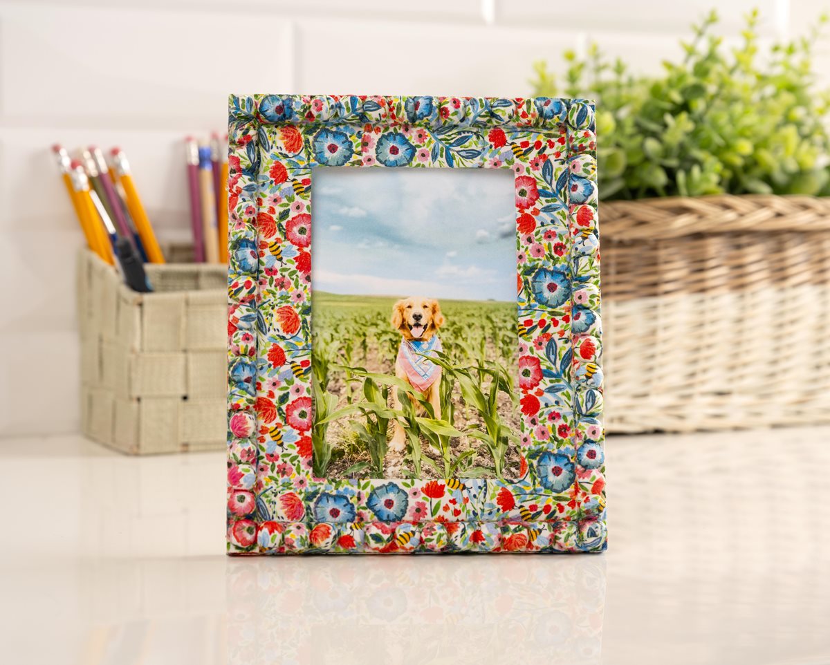 Mod Podge Beaded Frame