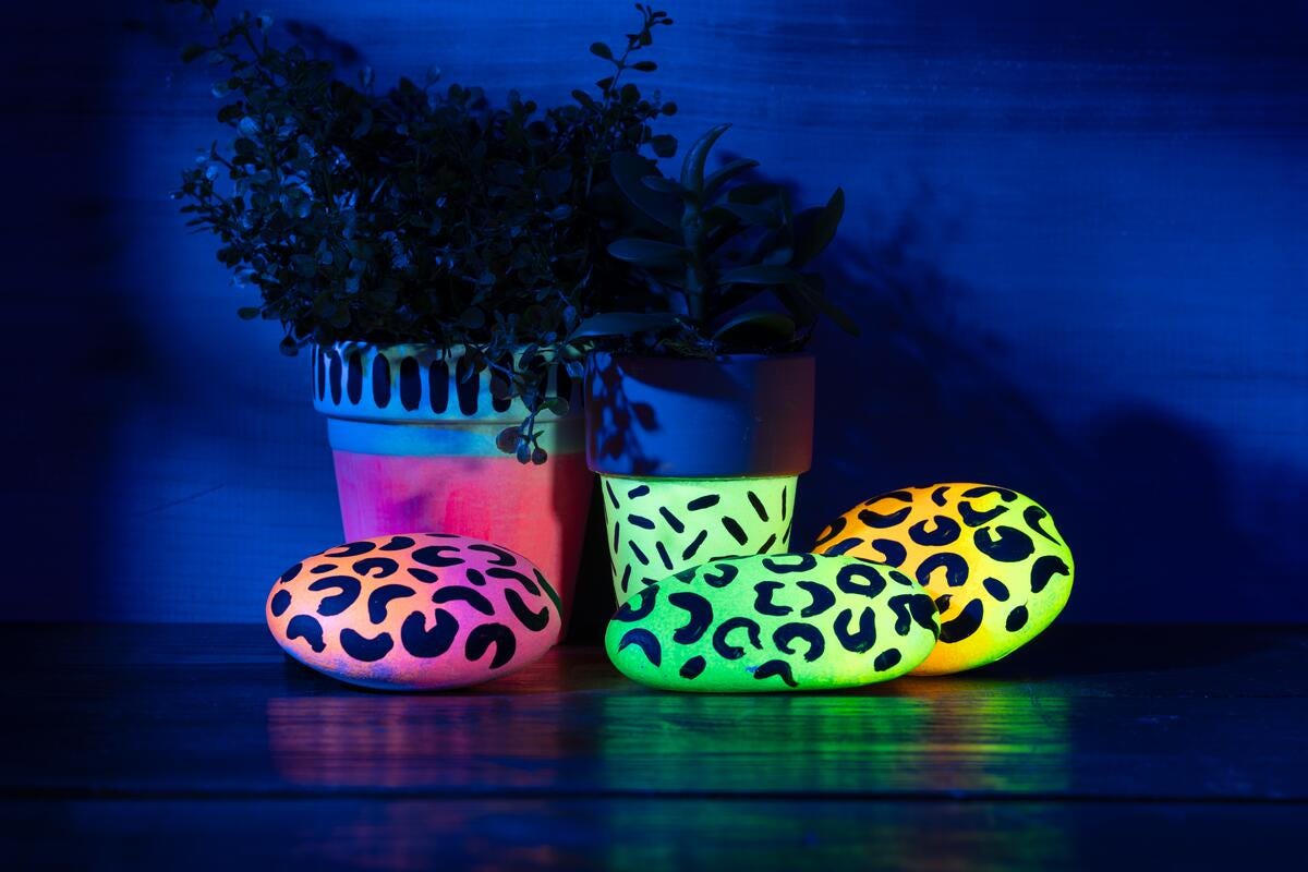 Glow-In-The-Dark Color Block Flower Pots & Leopard Print Rocks