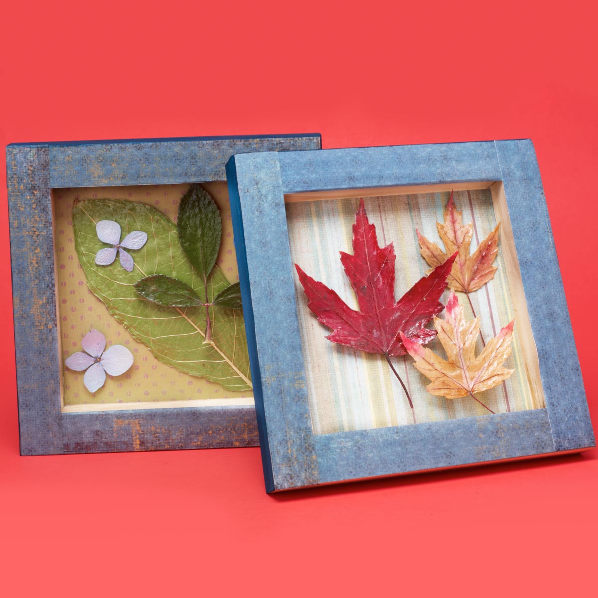 Sealed Leaves and Flowers with Mod Podge