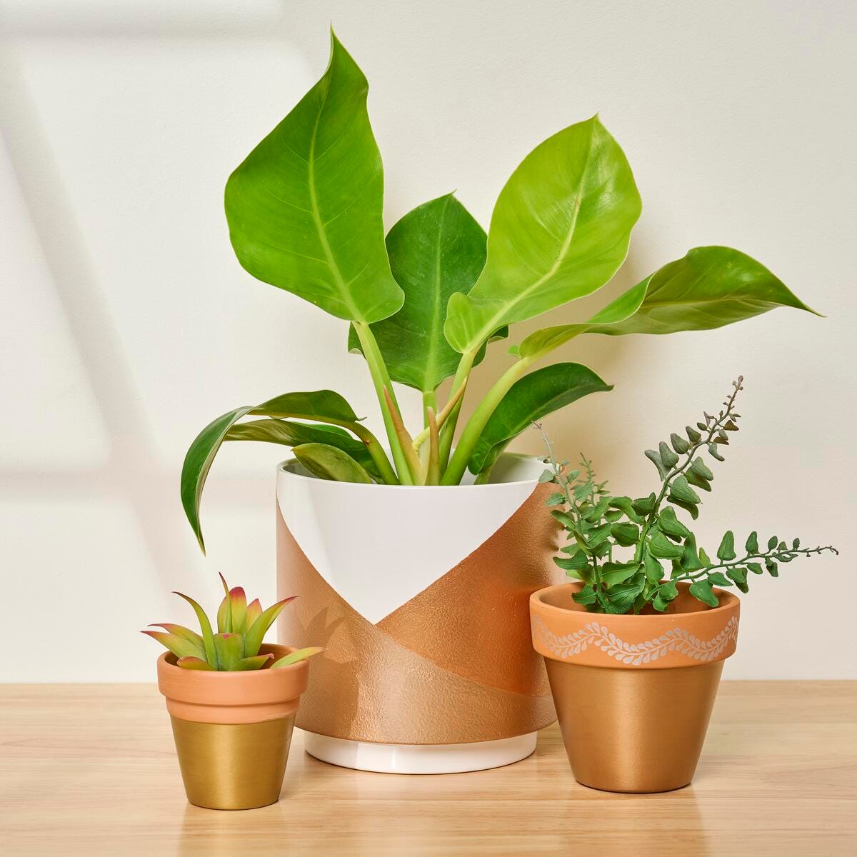 Modern Metallics: Color Block Planter Trio