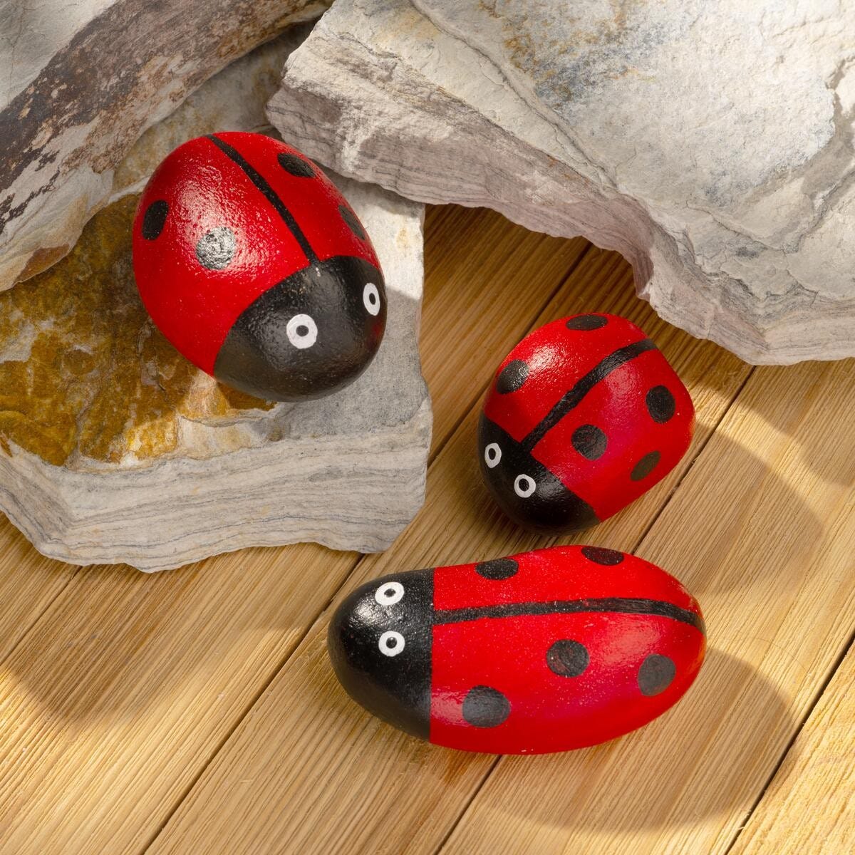 Rockin' Bugs: DIY Ladybug Rocks