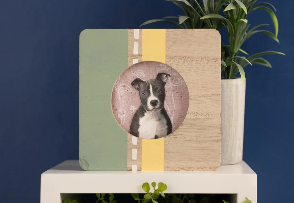 Painted Square Embroidery Hoop Frame With Photo Transfer of Pet Pic