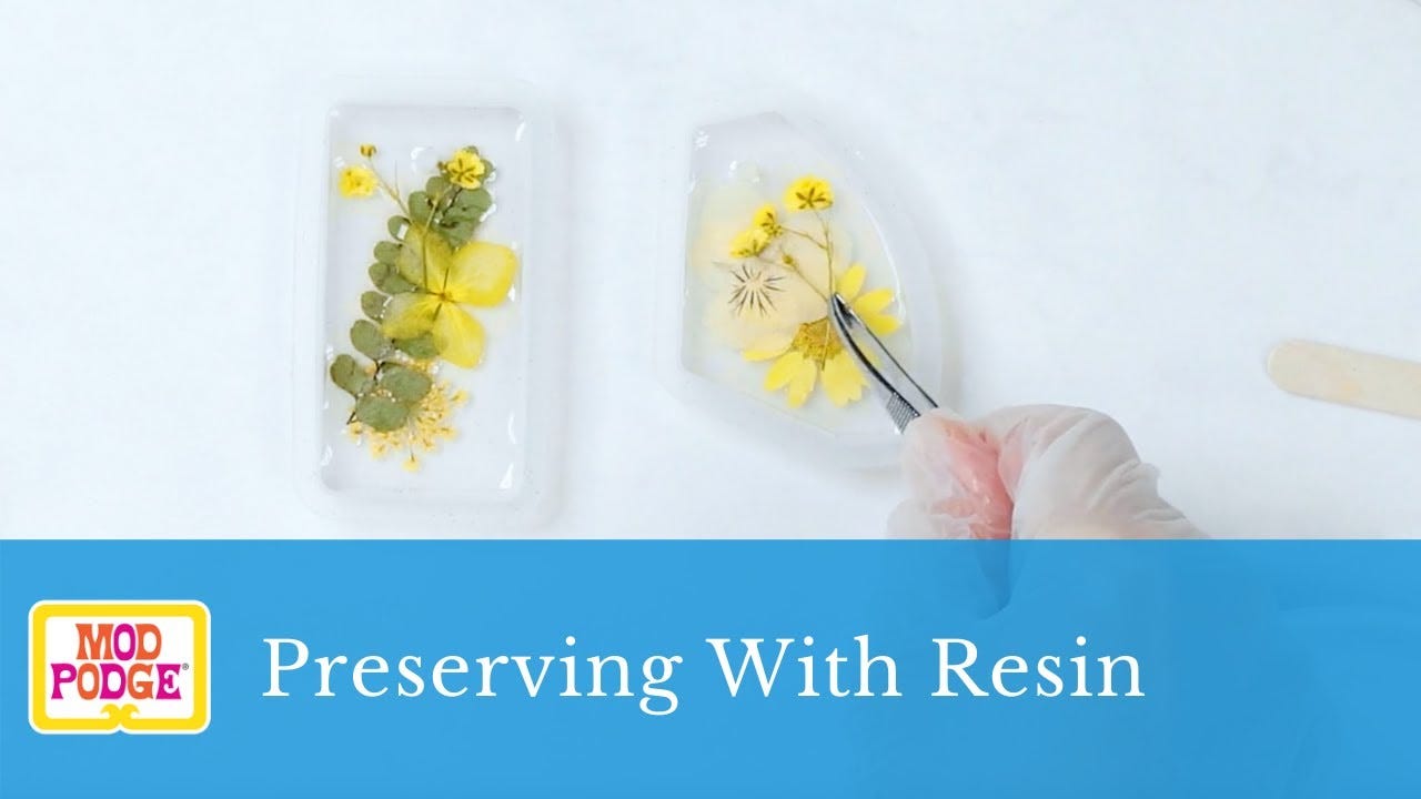 Preserving with Mod Podge Resin