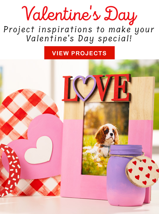 Valentine Animal Ornament Craft Kit, Makes 12, Craft Kits, Valentine's Day,  12 Pieces