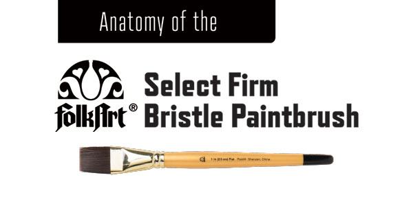 Anatomy of the FolkArt Select Firm Bristle Paintbrush