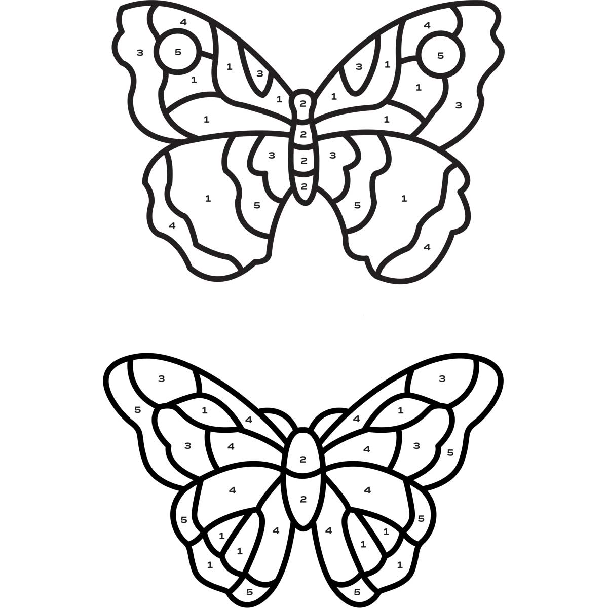 Butterfly Duet