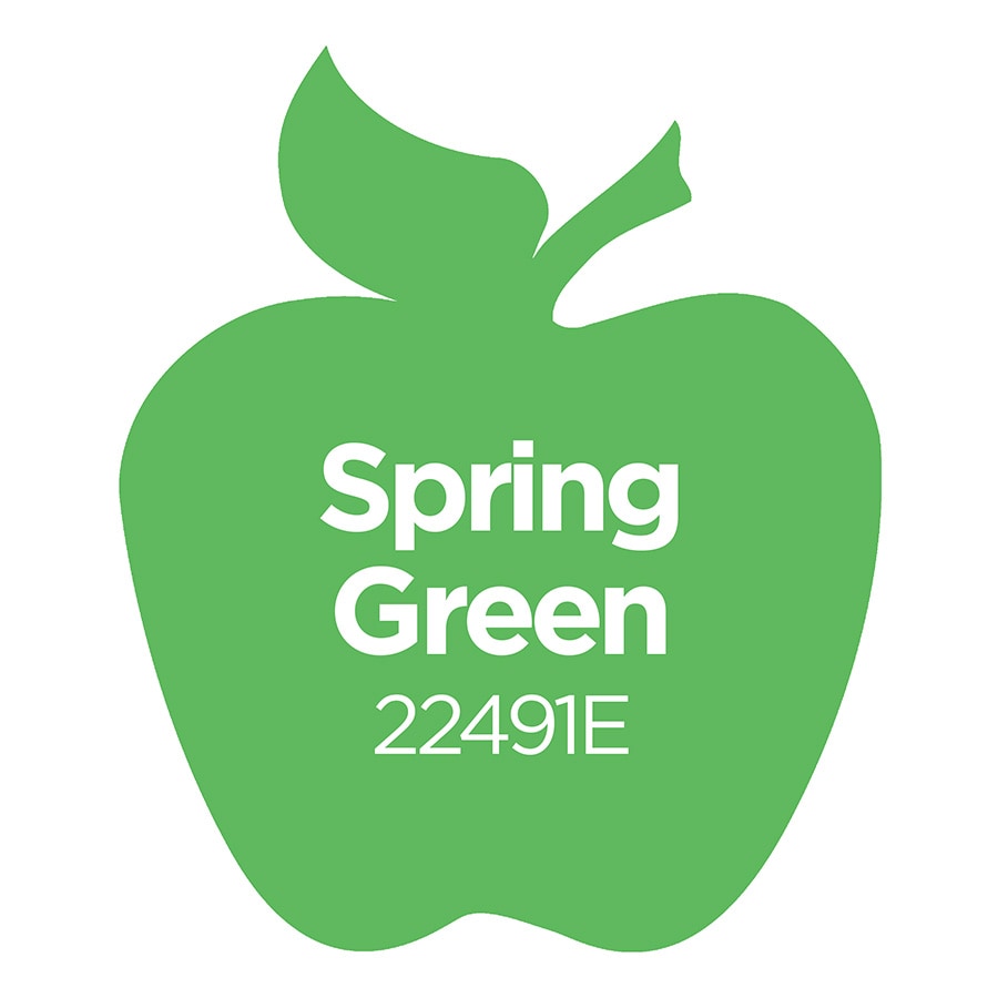 Apple Barrel ® Colors - Spring Green, 16 oz. - 22491E