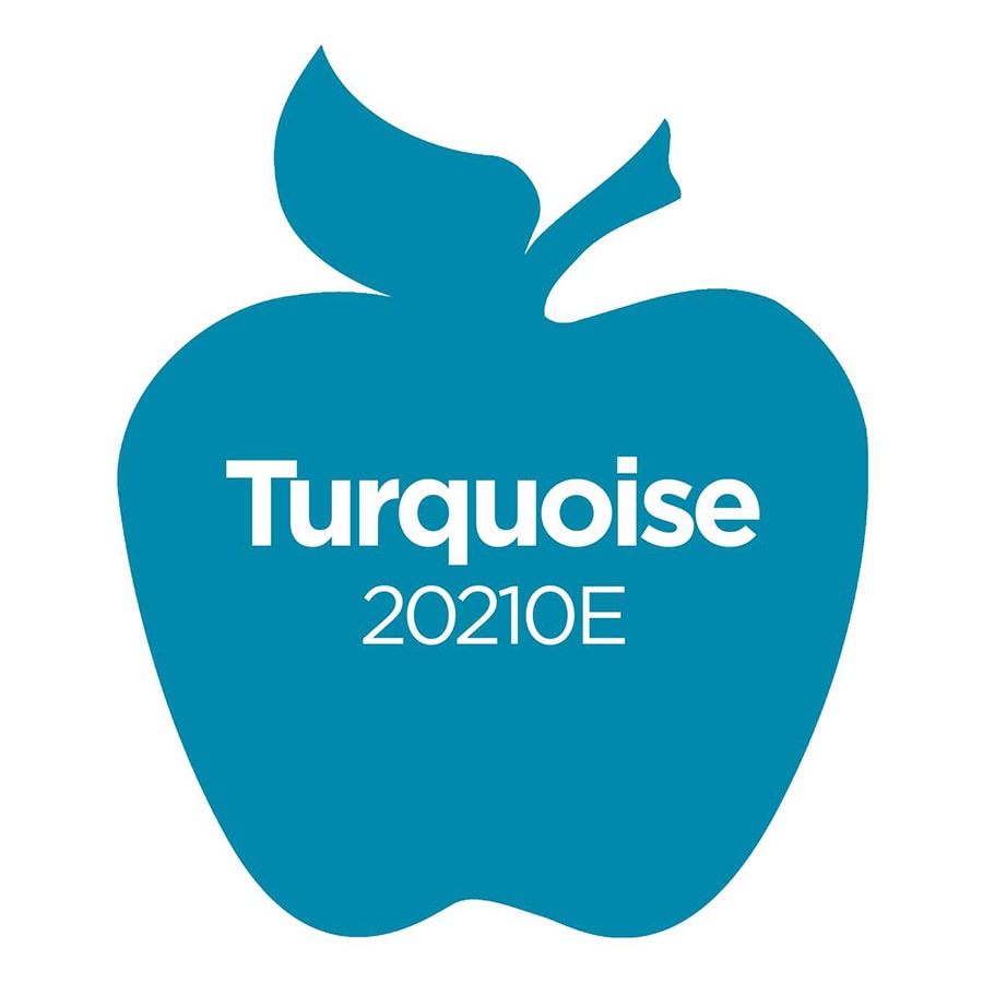 Apple Barrel ® Colors - Turquoise, 2 oz. - 20210